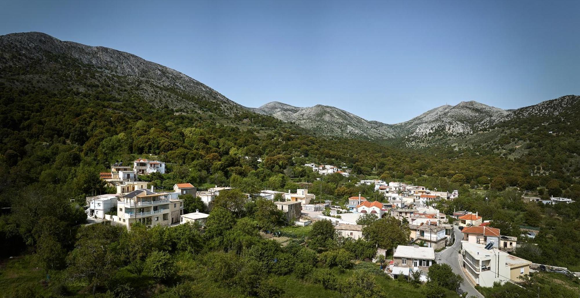 Mylostassi Villas With Balcony Plunge Pool Plati  エクステリア 写真