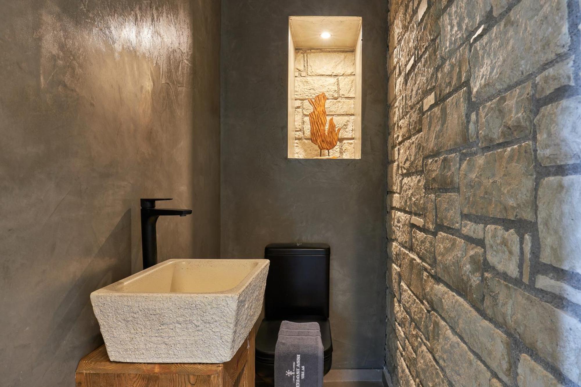 Mylostassi Villas With Balcony Plunge Pool Plati  エクステリア 写真